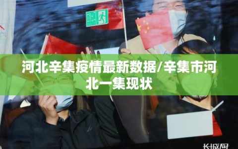 河北新增本土无症状9例〃河北新冠病毒最新消息-第2张图片