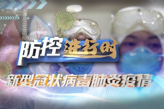 河北新型肺炎最新消息-河北新型肺炎最新消息今天-第2张图片