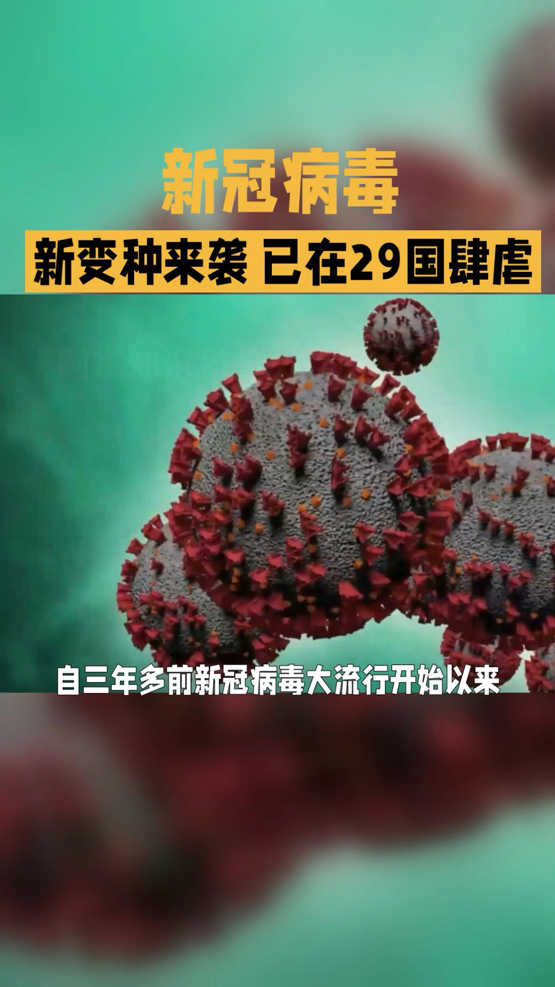 美国新型冠状病毒最新消息.美国新冠疫情百度百科-第1张图片