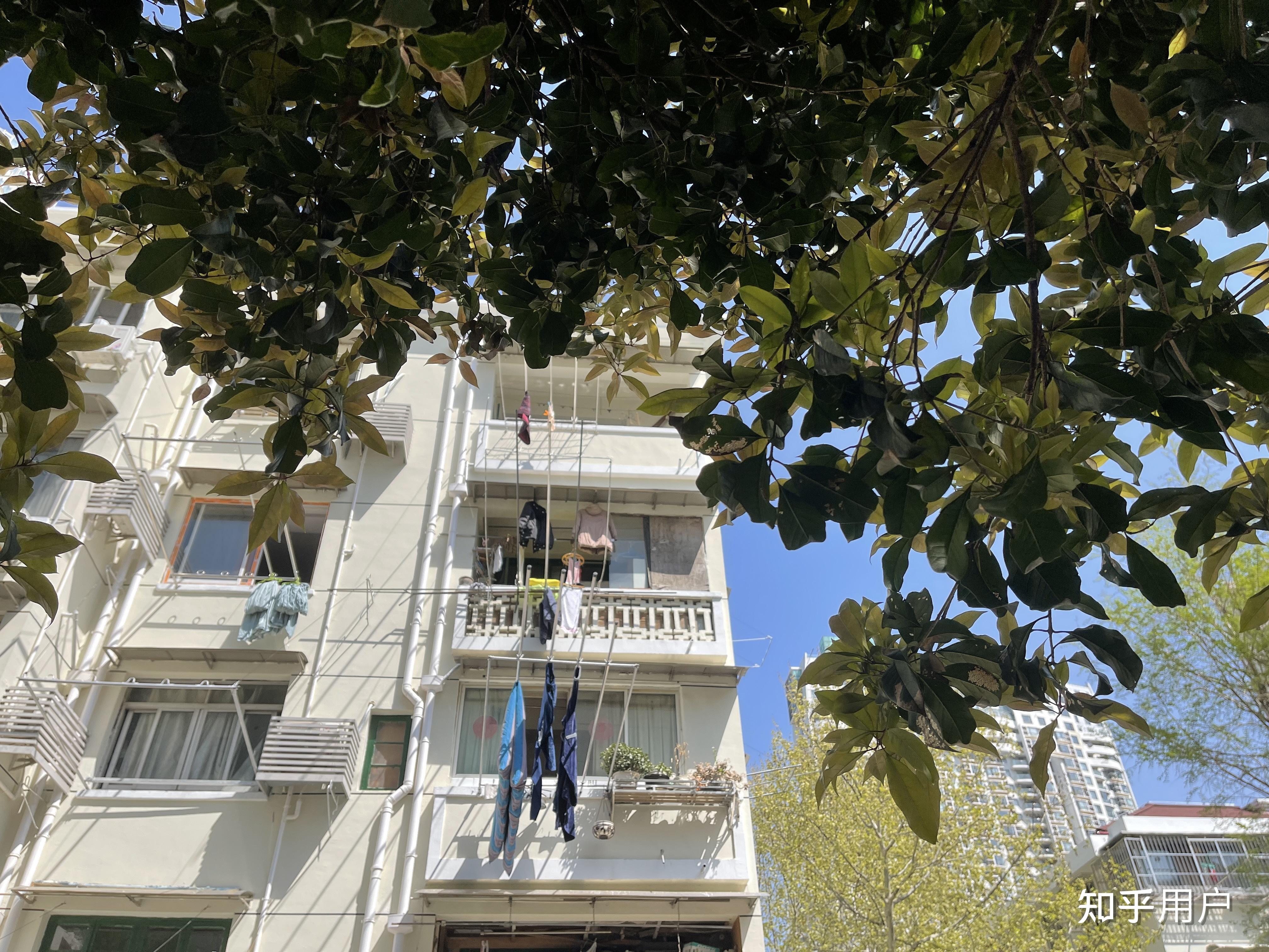“上海一感染者3名同住人确诊” 2026最新一轮病毒上海有多少人感染？-第2张图片